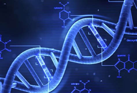 Image result for DNA Solves