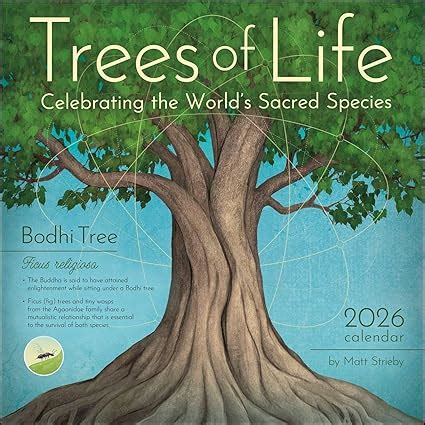 Buy Trees of Life 2026 Wall Calendar: Celebrating the World's Sacred ...