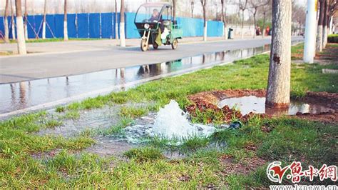 灌溉接头损坏绿化带中现"喷泉" 路面有大量积水_淄博新闻_淄博大众网