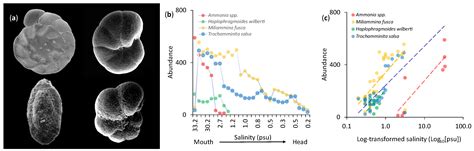 Rapoport’s Rule, Ecotone Concept, and Salinity Gradient Predict the ...