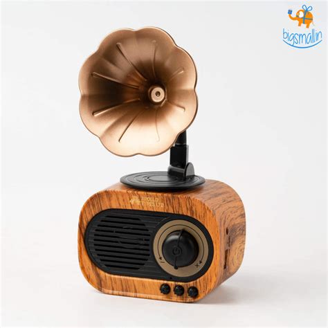 Vintage Gramophone Bluetooth Speaker - Apollo Tyres– Bigsmall.in