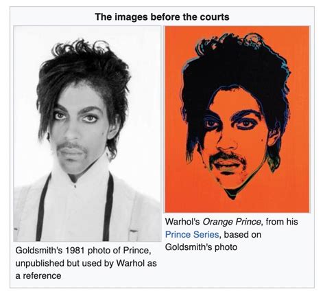 Image result for Fair Use Examples