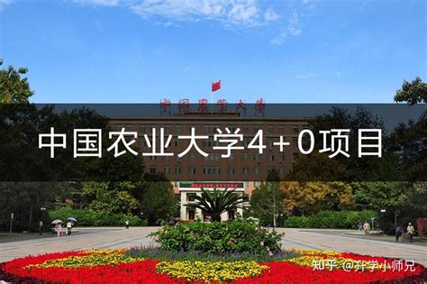 烟台大学2023年本科招生计划发布-烟台大学|YanTai University