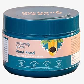 Nurturing Green® All-in-One Plant Food (100gm, granules) | Provides ...