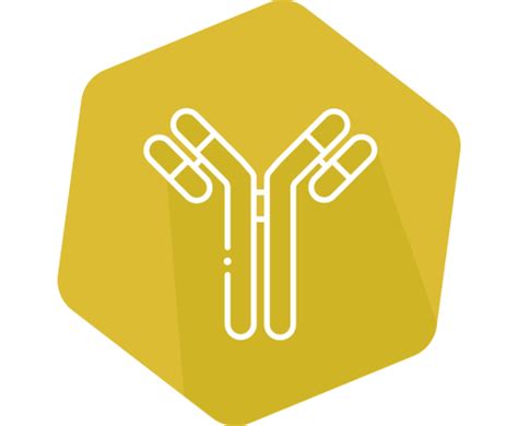 I'screen AHD Rapid, ELISA, 96 det.