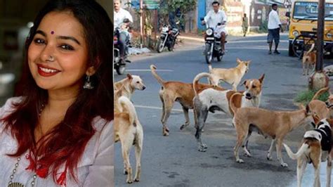 Stop killing stray dogs, let's do this instead; responds actress ...