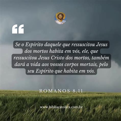 Por que a Eucaristia é tão importante para a Igreja Católica? Conheça ...
