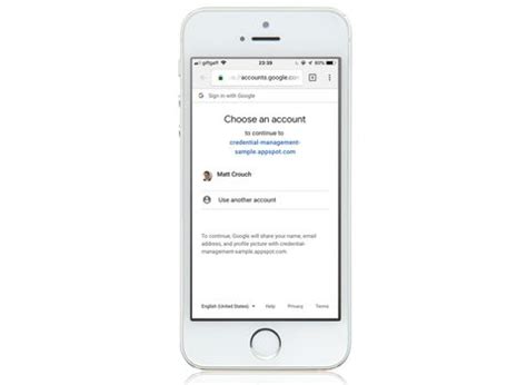 Multiple APIs JavaScript 的图像结果