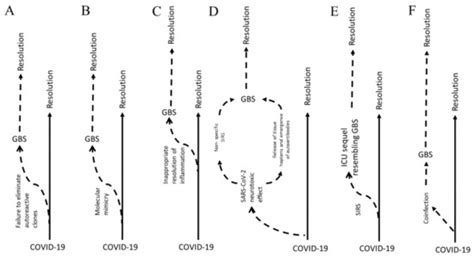 Guillain–Barré Syndrome in COVID-19—The Potential Role of NCAM-1 and ...