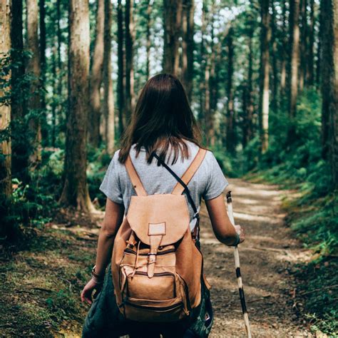 Activities in Spring 的图像结果