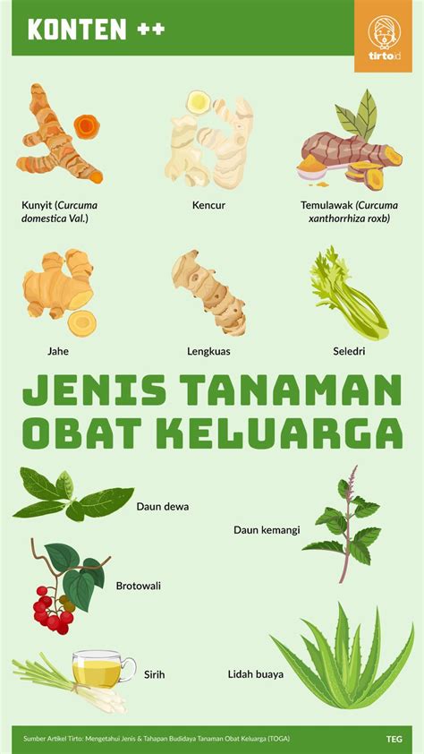 manfaat tanaman obat angkak