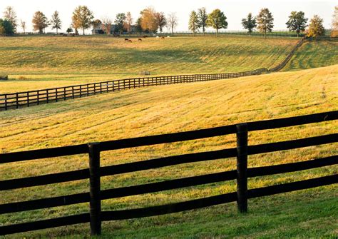 Ultimate Guide to Buying Horse Property in Kentucky | Equestrian Real ...