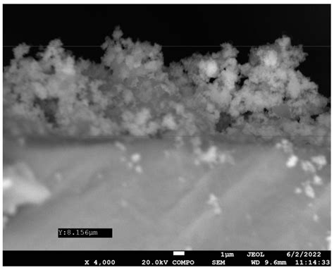 Νanomaterial-Loaded Polymer Coating Prevents the In Vitro Growth of Candida albicans Biofilms on ...