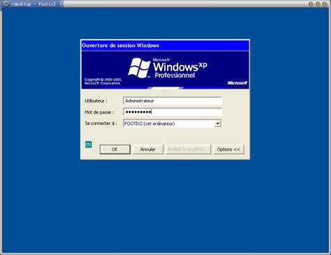 Export Display Linux to Windows 的图像结果