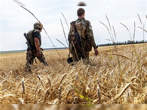 Mines, fires, rockets: The ravages of war bedevil Ukraine's farmers