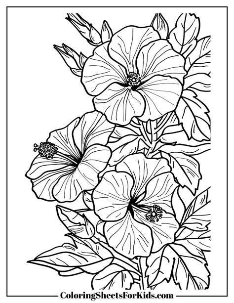 Printable Hibiscus Flower Coloring Pages [2025]