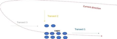 Image result for Transects Method