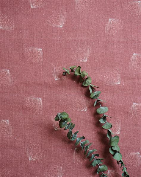 Brishti Fabric – minimal indian