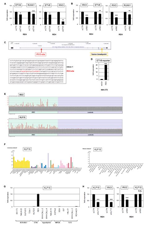 Normal and Aberrant TALE-Class Homeobox Gene Activities in Pro-B-Cells ...