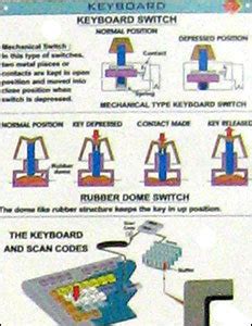 Image result for Computer Chart Digitel