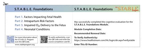 S.T.A.B.L.E. Program Modules , About The S.T.A.B.L.E. Program – BYAMJ