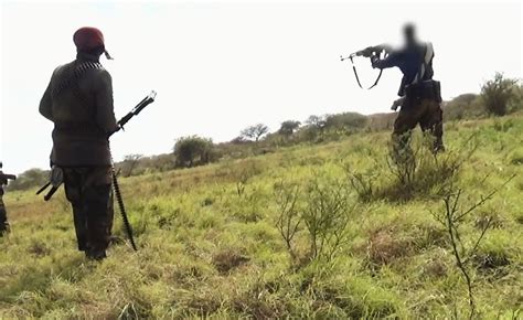 Image result for Strategic Intelligence Network