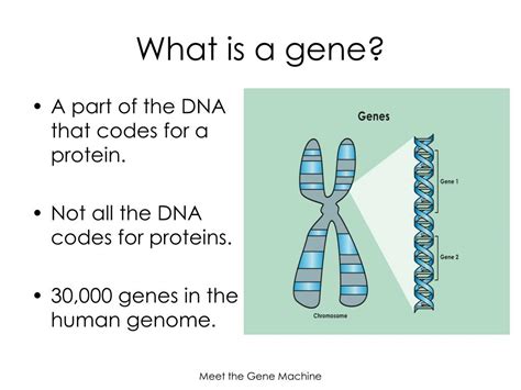 Genetics Background 的图像结果