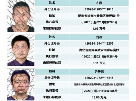 天元法院公布失信被执行人名单（2020年第十六期）-湖南省株洲市天元区人民法院