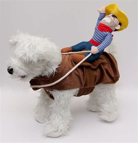 Midlee Bucking Bronco Cowboy Dog Costume (Medium) | Cowboy dog costume ...