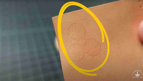 Water Stains On Leather Table Top at Marisa Randolph blog