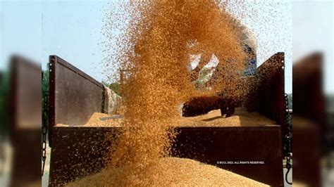 Centre relaxes procurement norms for shrivelled and broken grains upto ...