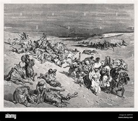 Engraving representing The Fifth Plague - Livestock Disease made in ...