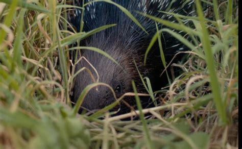 ASAP Art | On the Emotional Logic in Humans in the Loop: In ...