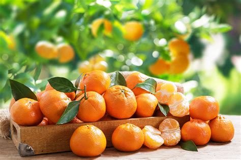 Mandarin Orange: Health Benefits, Uses, Growing Tips