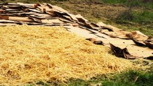 Image result for Images of Sheet Composting Method