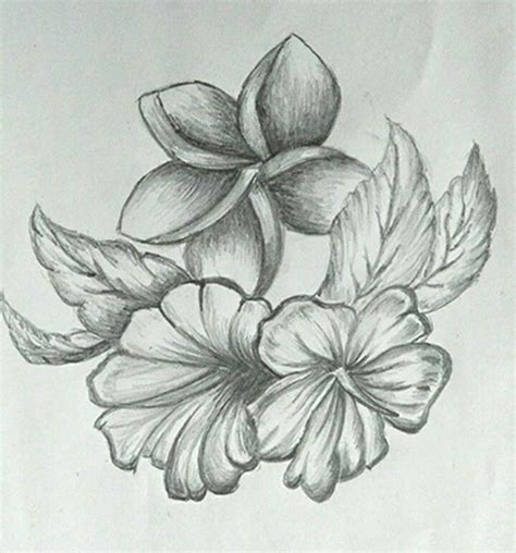 Learn the Art of Flower Shading Drawing