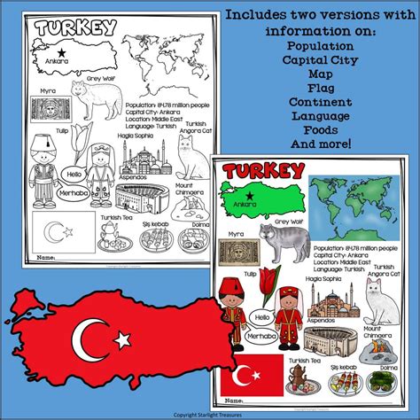 Turkey Fact Sheet for Early Readers - A Country Study | Made By Teachers