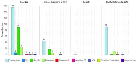 Identification of Diverse Bacteriophages Associated with Bees and ...