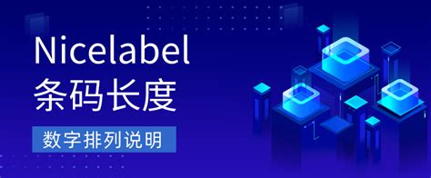 NiceLabel Excel Spreadsheet 的图像结果