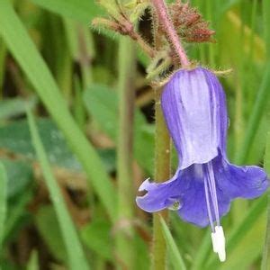 Fun in the Bird Sanctuary, Bird Sanctuary at Griffith Park, Hollywood ...