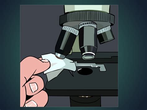 Basic Microscope Use 的图像结果