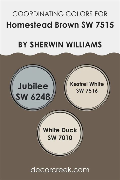 Image result for Brown Color Samples