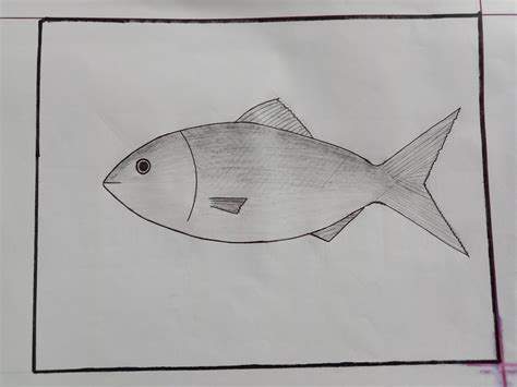 Image result for Using a Fish