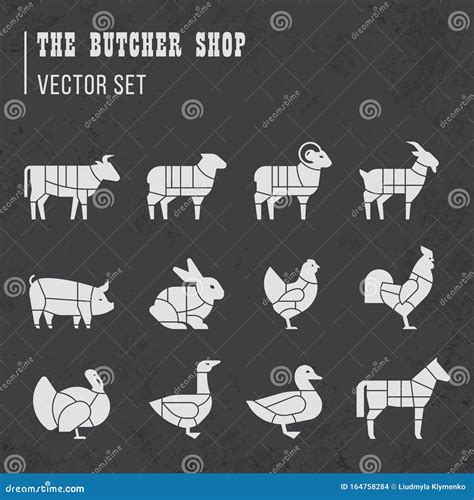 Meat Cuts Set. Diagrams for Butcher Shop. Scheme of Chicken, Beef, Pork ...