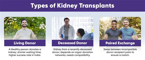 Everything you Need to Know about Kidney Transplant | MrMed