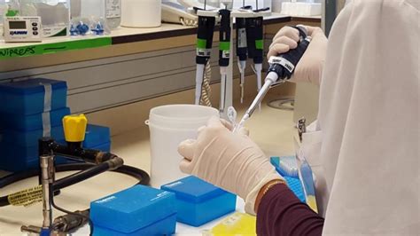 Suspenden a los profesores detenidos por el presunto fármaco falso ...