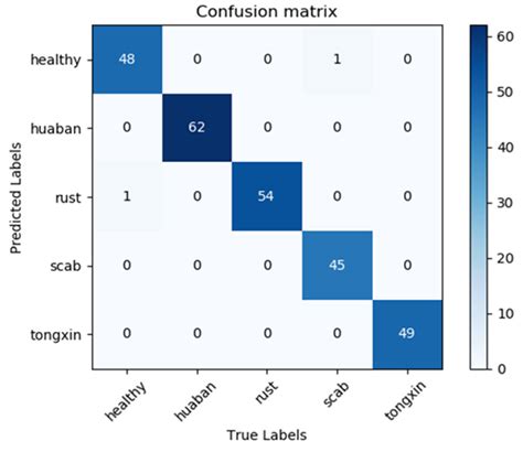 Apple Leaf Disease Identification with a Small and Imbalanced Dataset ...