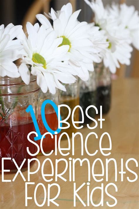 Science Experiments KS2 的图像结果