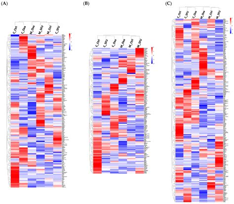 Drug-Resistance Biomarkers in Patient-Derived Colorectal Cancer ...