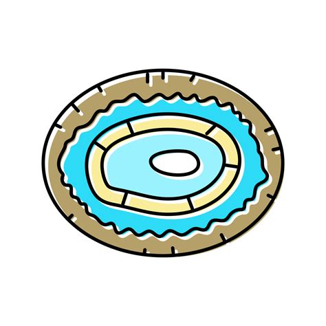 Image result for Limpet Shell Color